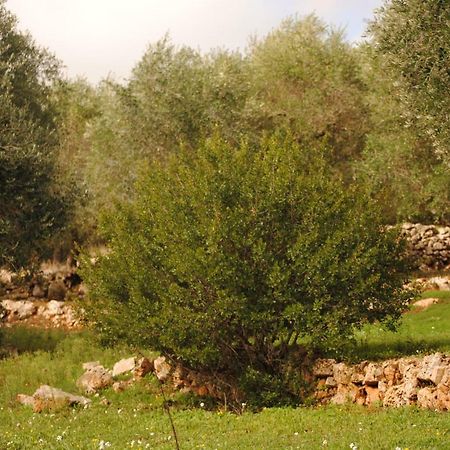 לינה וארוחת בוקר צ'לייה מספיקה Il Giardino Di Viola מראה חיצוני תמונה