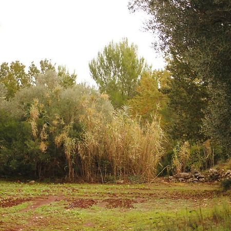 לינה וארוחת בוקר צ'לייה מספיקה Il Giardino Di Viola מראה חיצוני תמונה