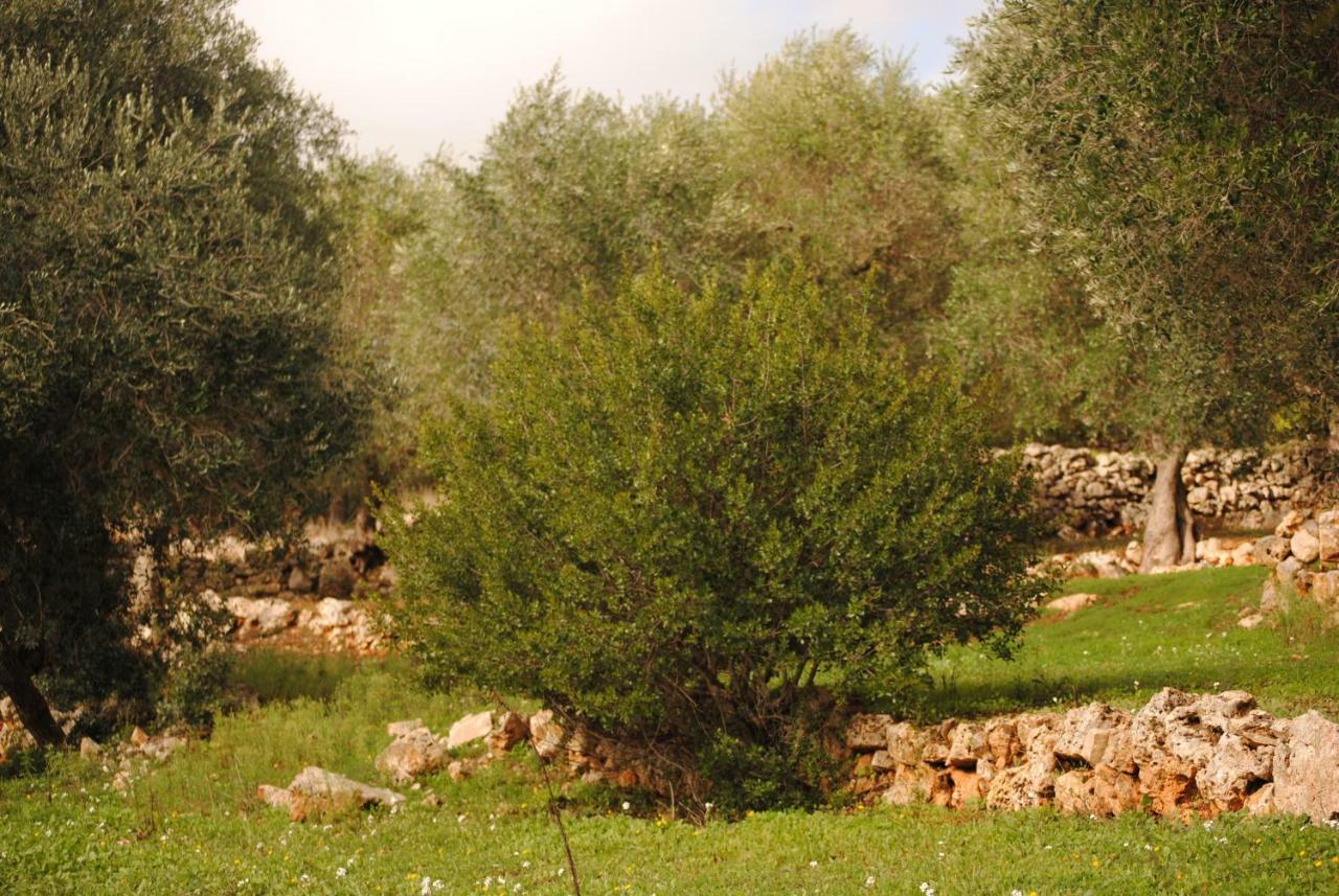 לינה וארוחת בוקר צ'לייה מספיקה Il Giardino Di Viola מראה חיצוני תמונה