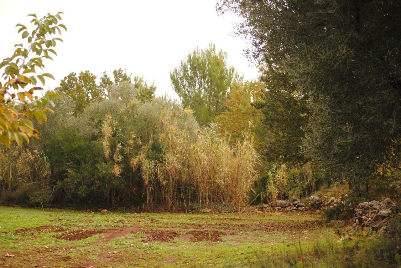 לינה וארוחת בוקר צ'לייה מספיקה Il Giardino Di Viola מראה חיצוני תמונה