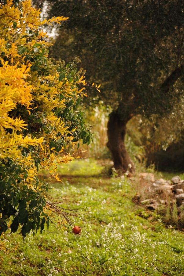 לינה וארוחת בוקר צ'לייה מספיקה Il Giardino Di Viola מראה חיצוני תמונה