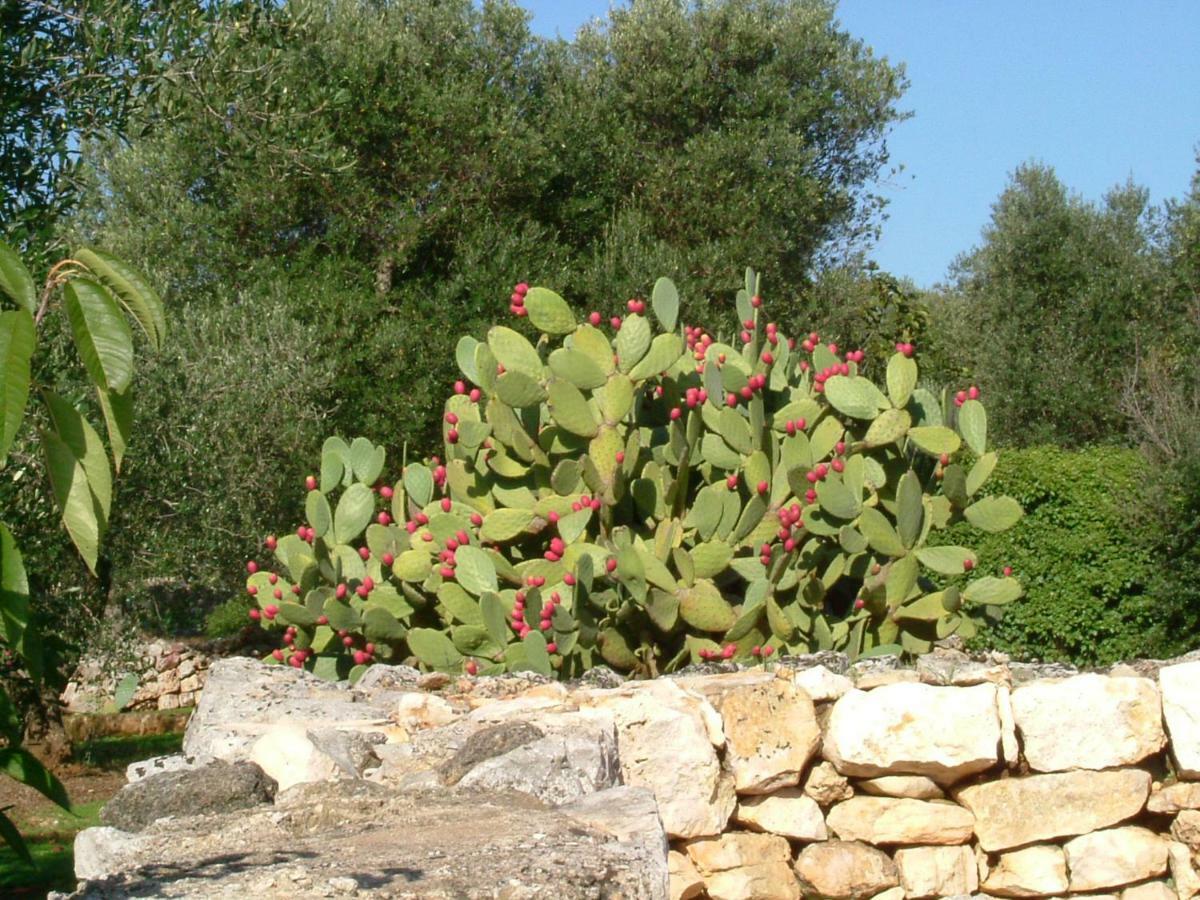 לינה וארוחת בוקר צ'לייה מספיקה Il Giardino Di Viola מראה חיצוני תמונה