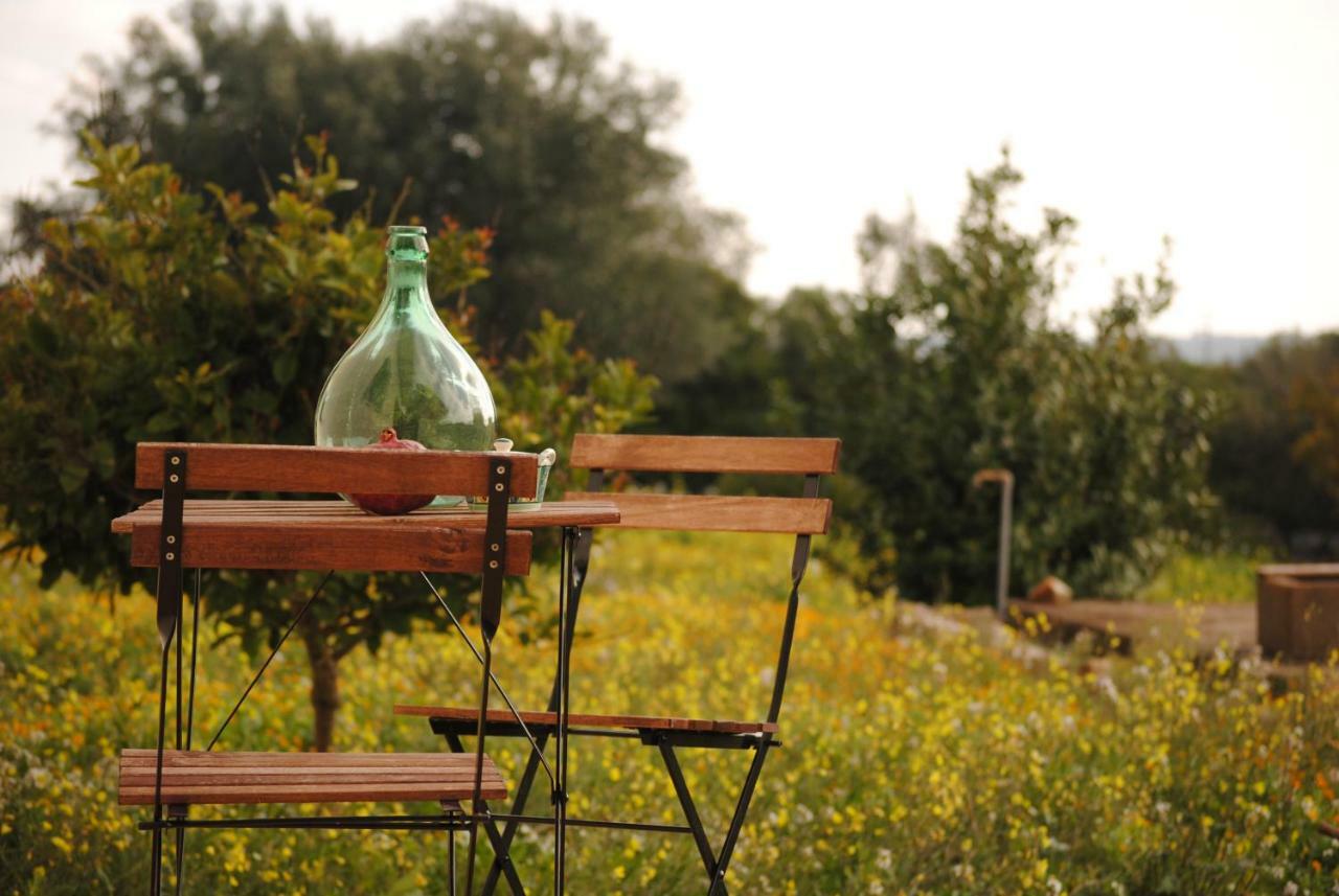 לינה וארוחת בוקר צ'לייה מספיקה Il Giardino Di Viola מראה חיצוני תמונה