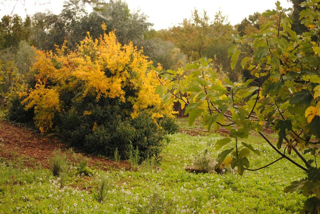 לינה וארוחת בוקר צ'לייה מספיקה Il Giardino Di Viola מראה חיצוני תמונה