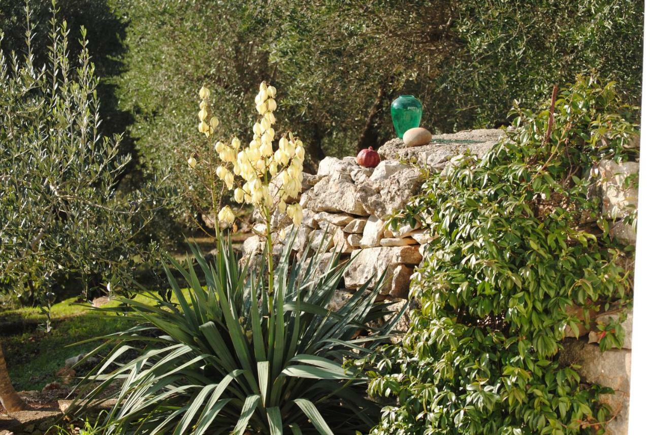 לינה וארוחת בוקר צ'לייה מספיקה Il Giardino Di Viola מראה חיצוני תמונה