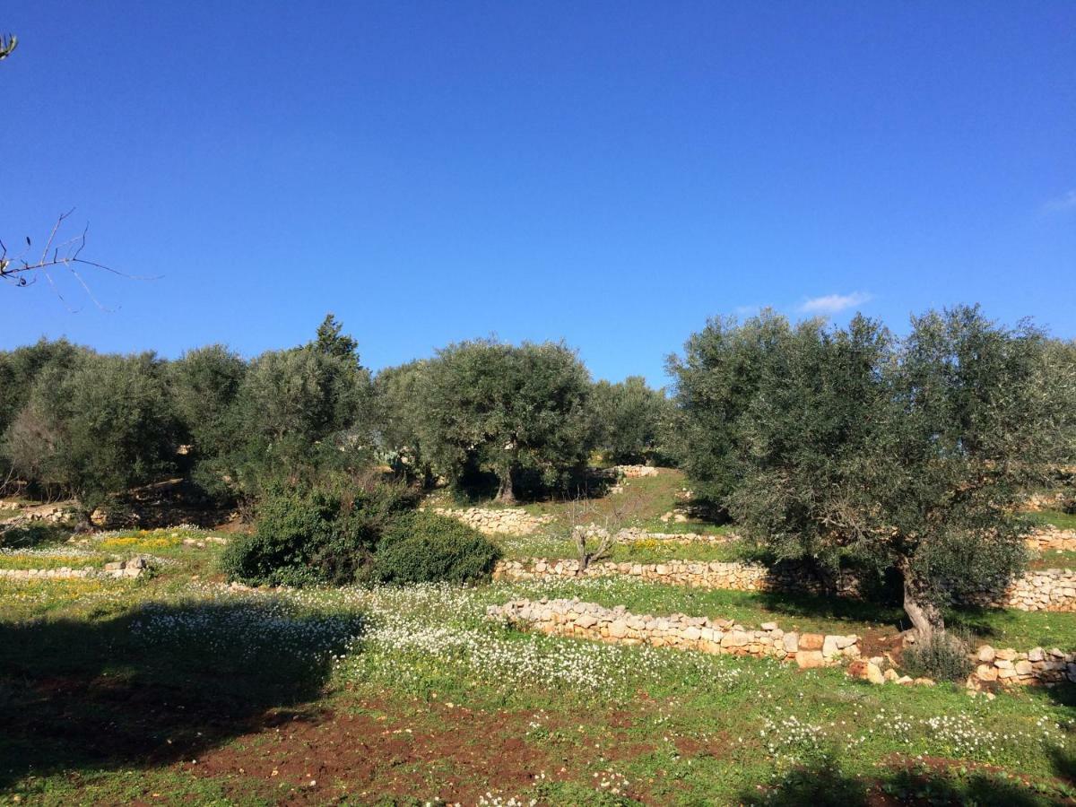 לינה וארוחת בוקר צ'לייה מספיקה Il Giardino Di Viola מראה חיצוני תמונה
