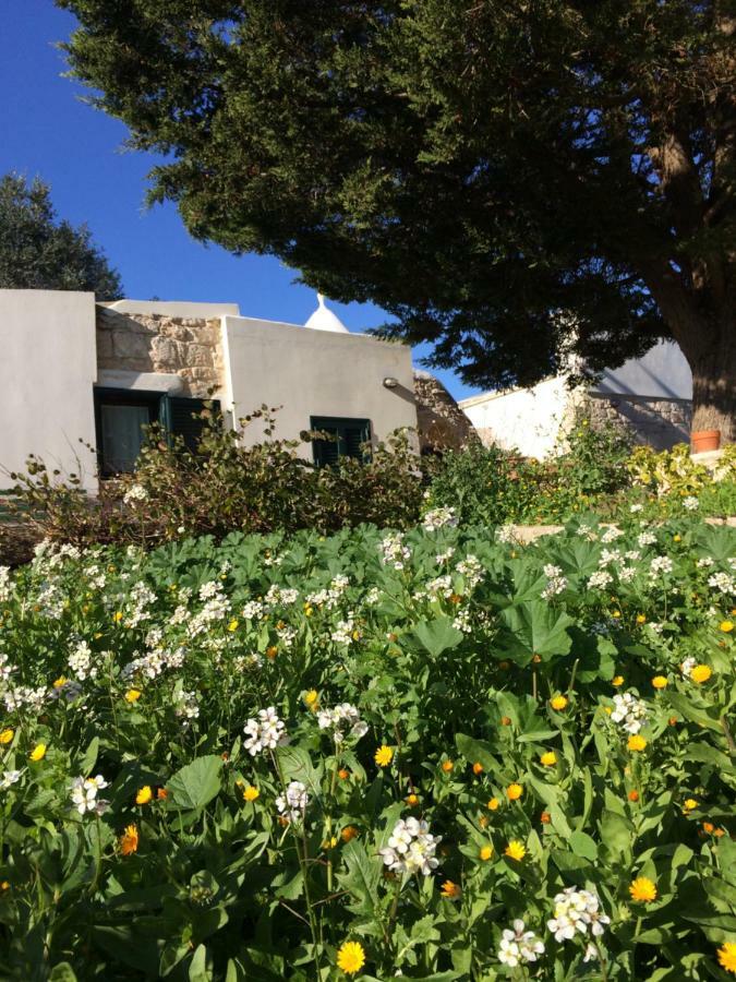 לינה וארוחת בוקר צ'לייה מספיקה Il Giardino Di Viola מראה חיצוני תמונה