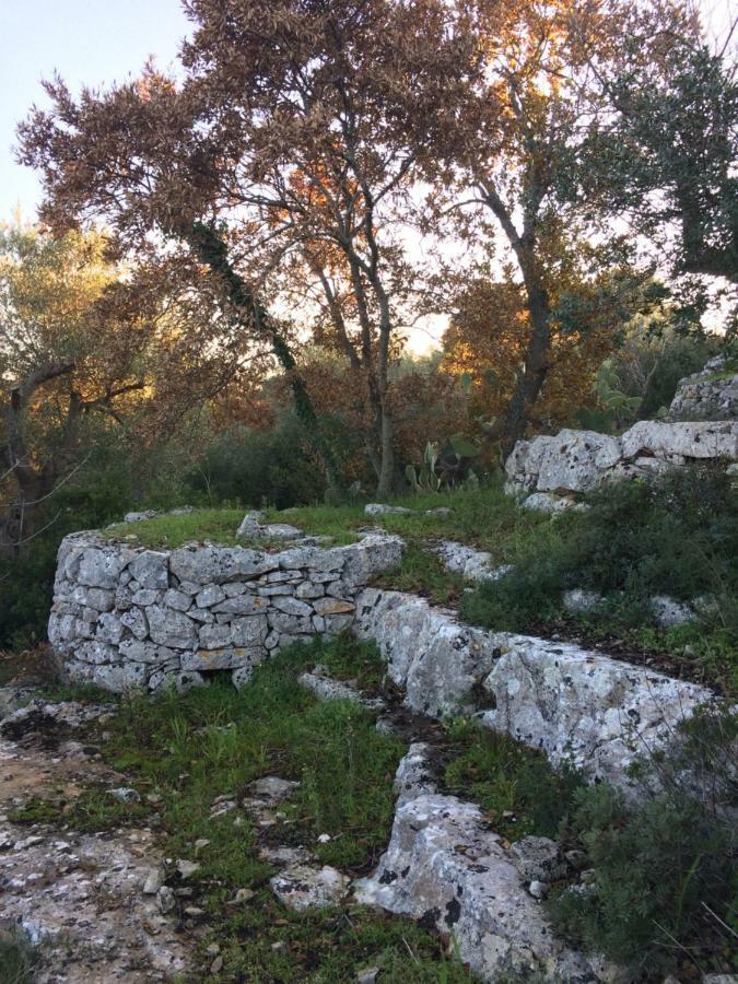 לינה וארוחת בוקר צ'לייה מספיקה Il Giardino Di Viola מראה חיצוני תמונה