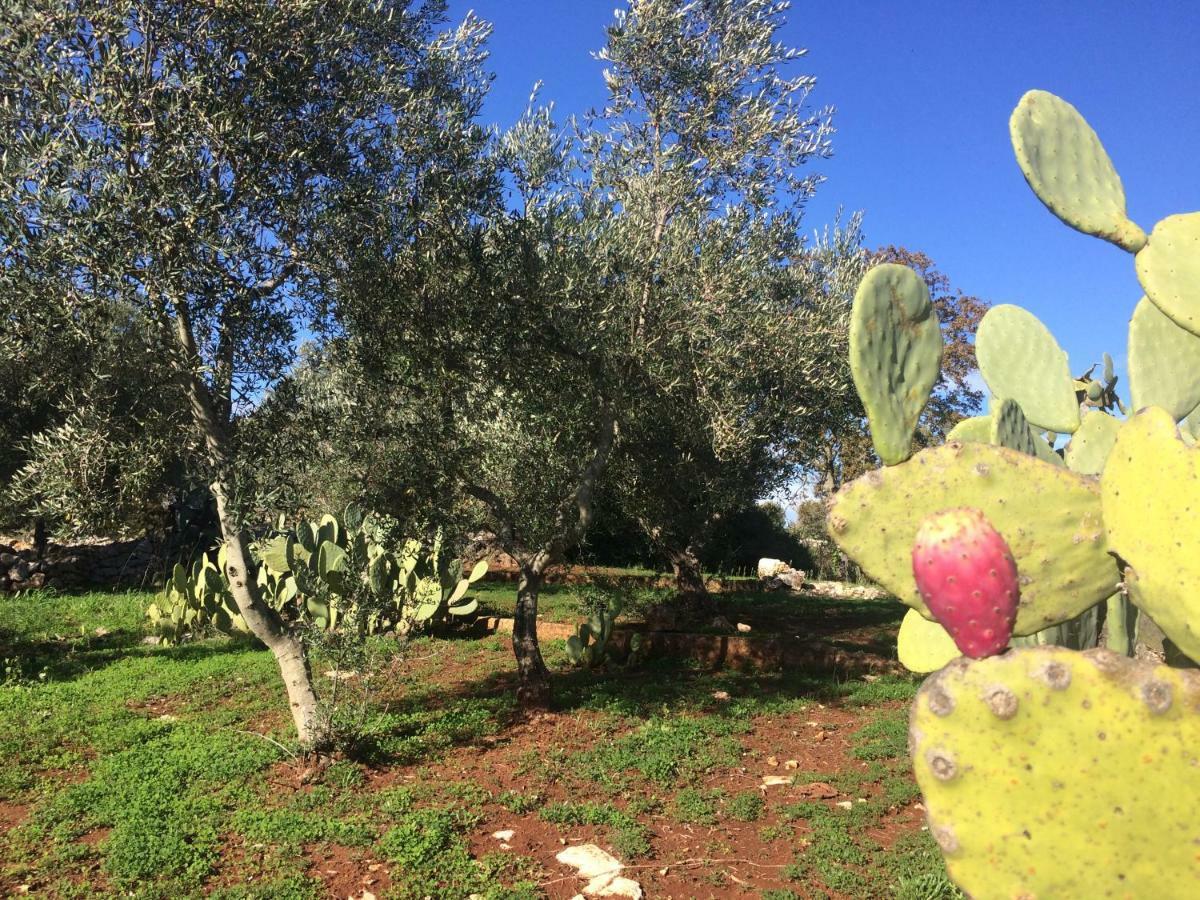 לינה וארוחת בוקר צ'לייה מספיקה Il Giardino Di Viola מראה חיצוני תמונה