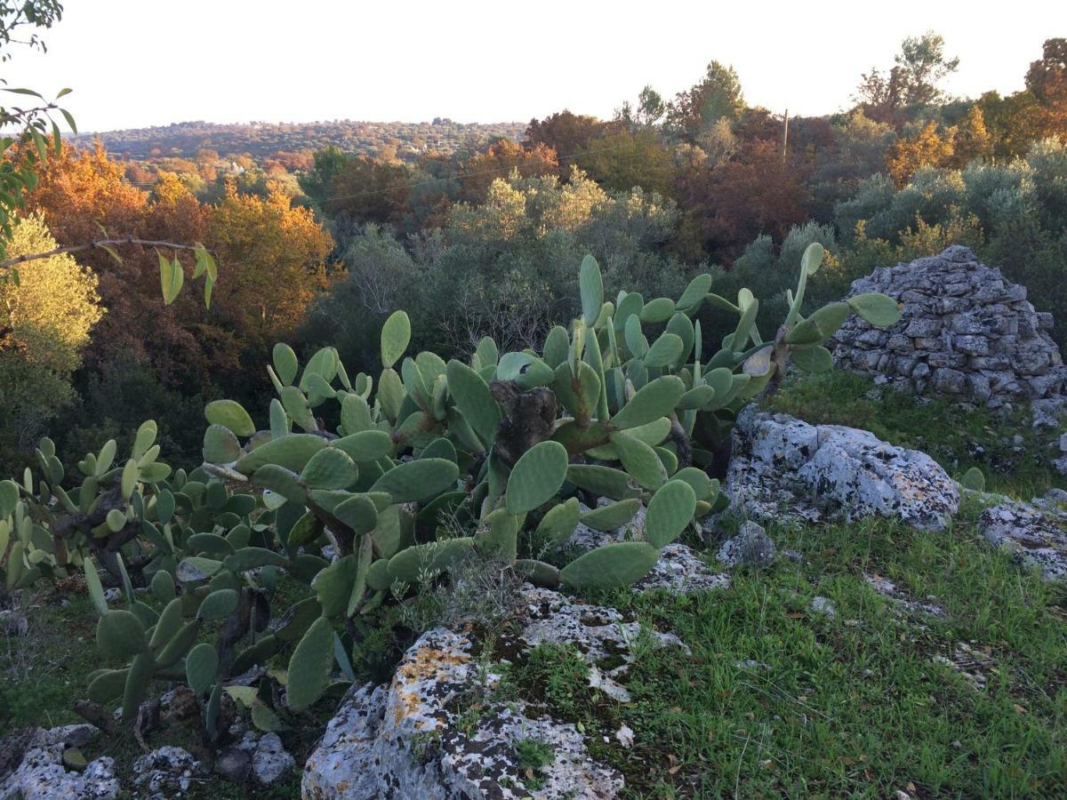 לינה וארוחת בוקר צ'לייה מספיקה Il Giardino Di Viola מראה חיצוני תמונה