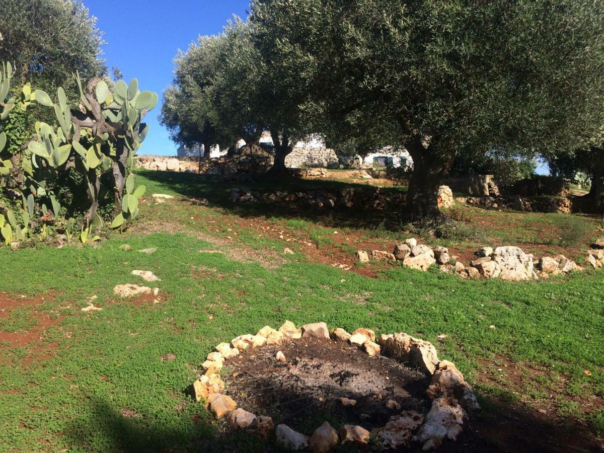 לינה וארוחת בוקר צ'לייה מספיקה Il Giardino Di Viola מראה חיצוני תמונה