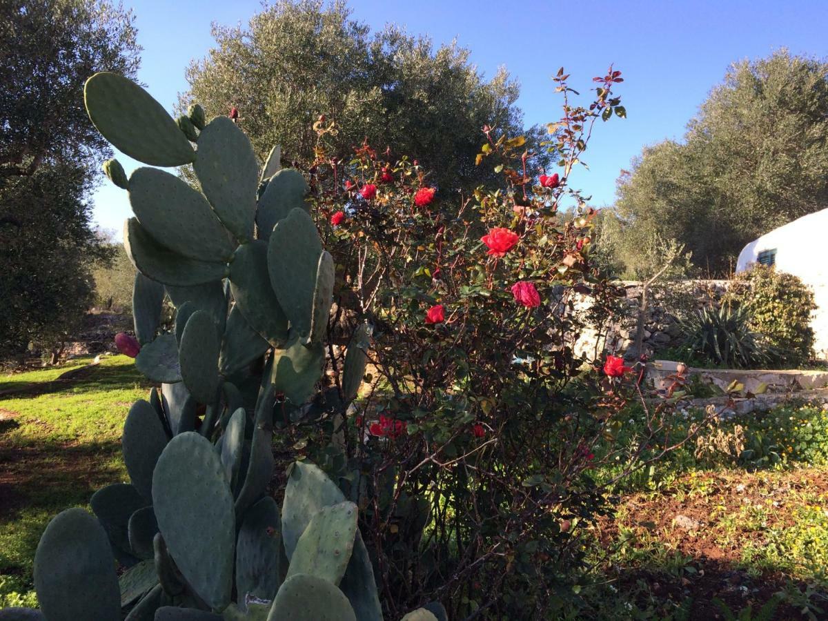 לינה וארוחת בוקר צ'לייה מספיקה Il Giardino Di Viola מראה חיצוני תמונה