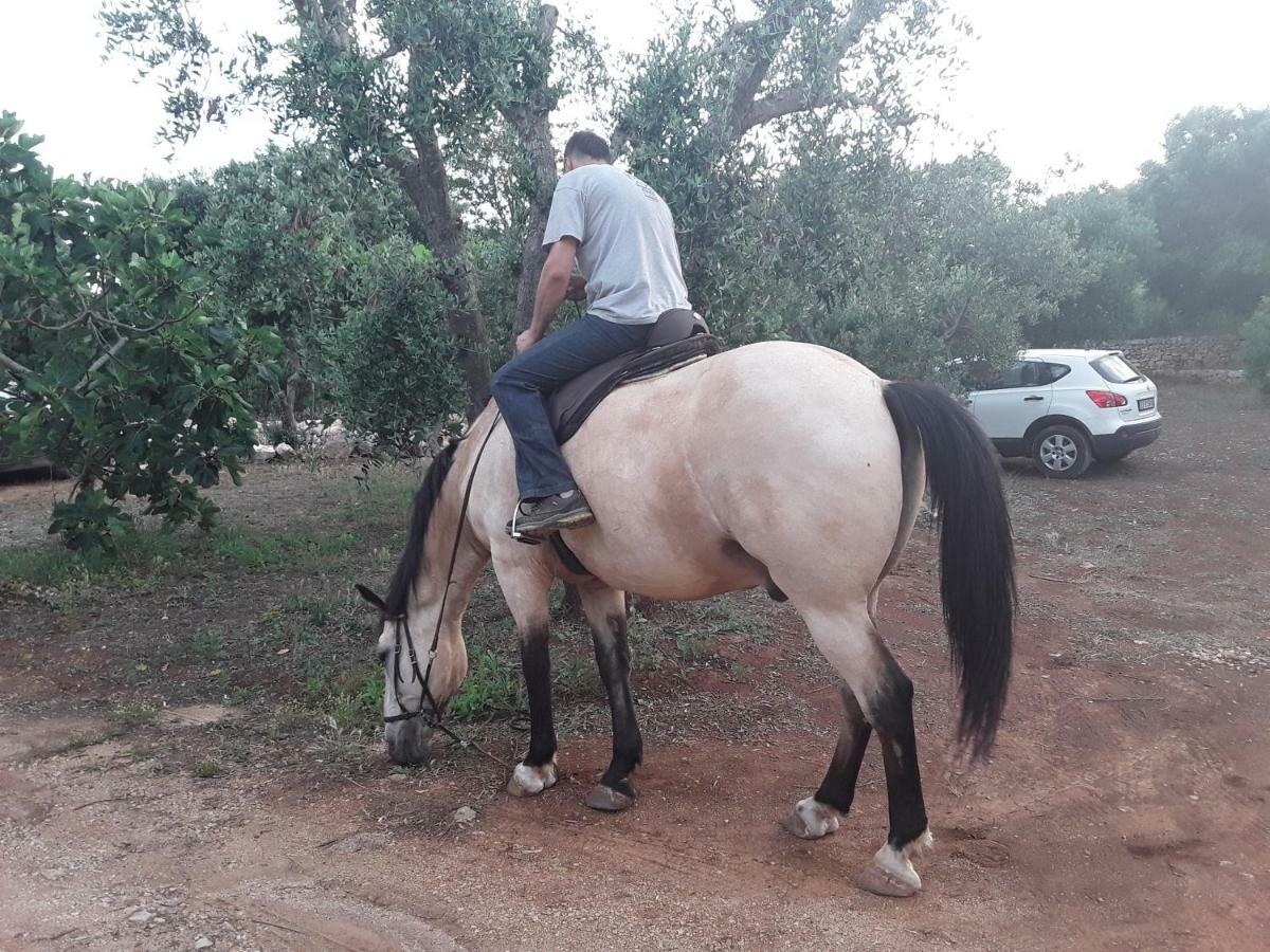 לינה וארוחת בוקר צ'לייה מספיקה Il Giardino Di Viola מראה חיצוני תמונה